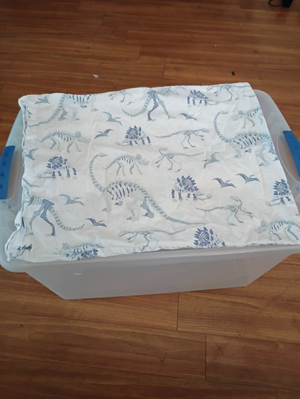 Pottery Barn Kids Single  Dinosaur Pillowcase